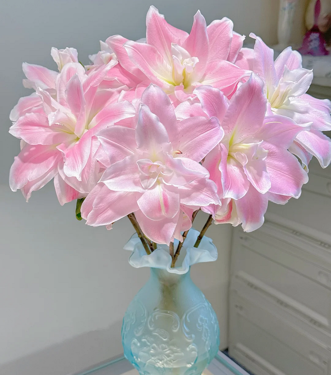 Multicolor Lily Seeds