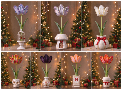 🔥The maximum discount is 40%.7 Varieties of Magic Parrot Tulip Bulbs – No Soil, No Watering, Just Beautiful Blooms!