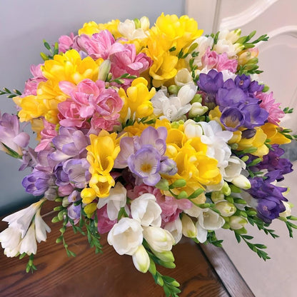 🌷Freesia Bulbs-World Famous Fragrance