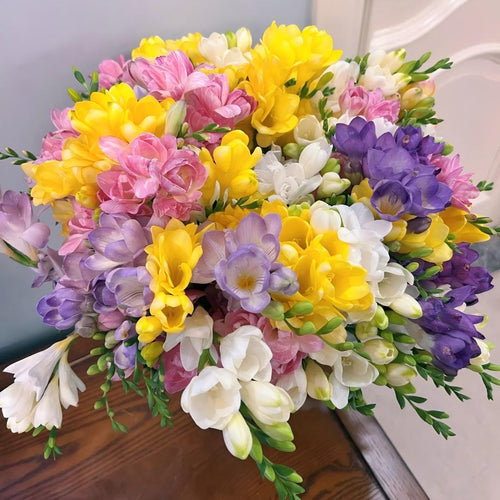🌷Freesia Bulbs-World Famous Fragrance
